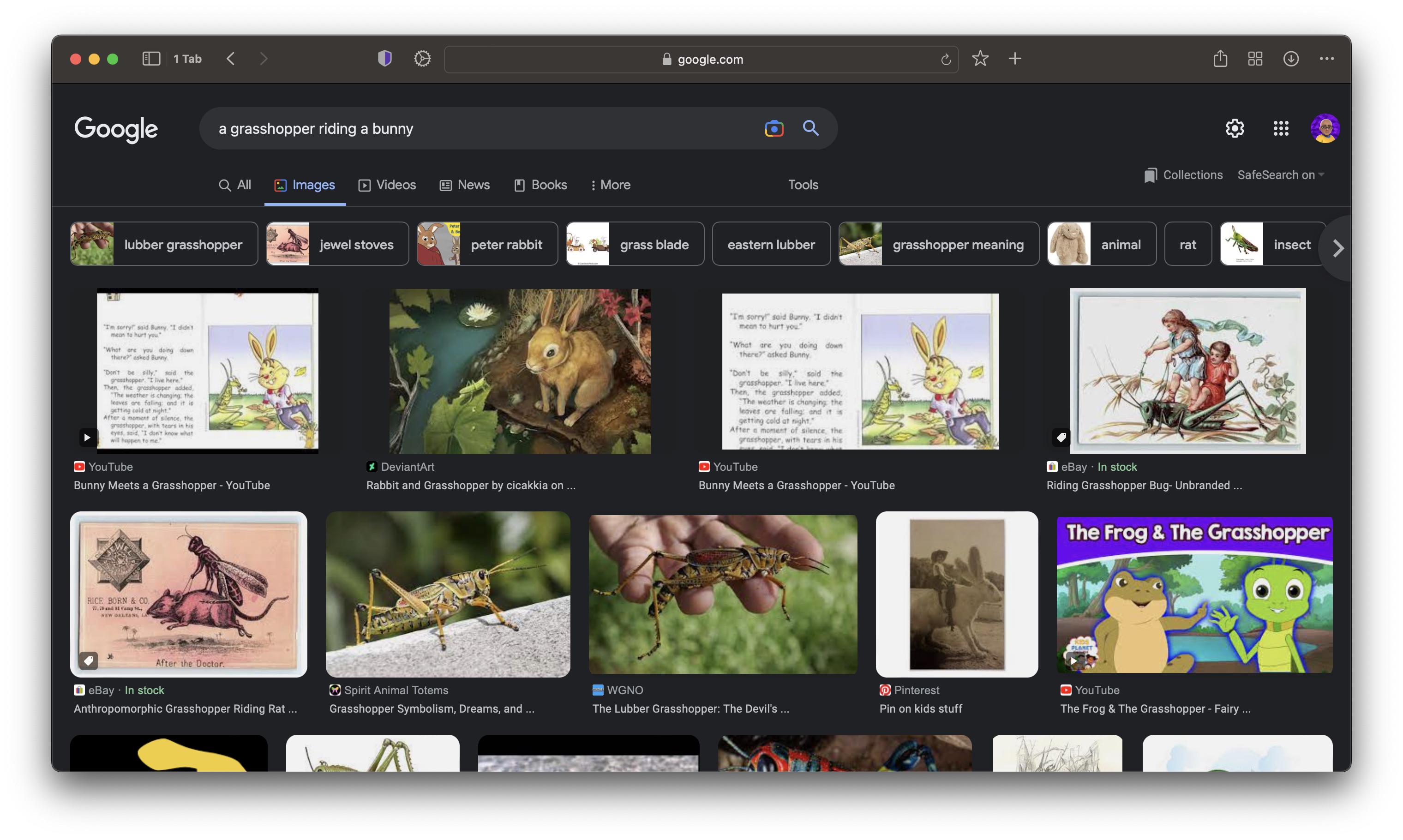 A screenshot of Google Image Search results showing no picture of a grasshopper riding a bunny.